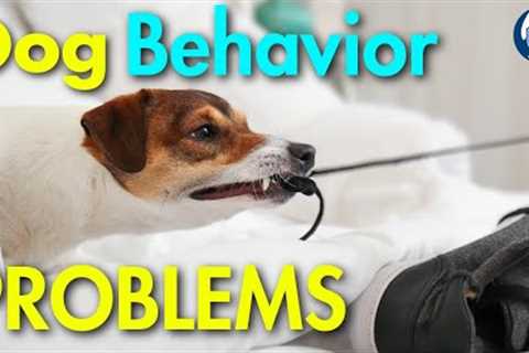 My Foolproof Strategy To Overcoming Dog Training Challenges #227 #podcast