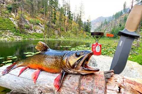 Fishing a Mountain Lake FILLED with HUNGRY TROUT!!! (Catch &amp; Cook)