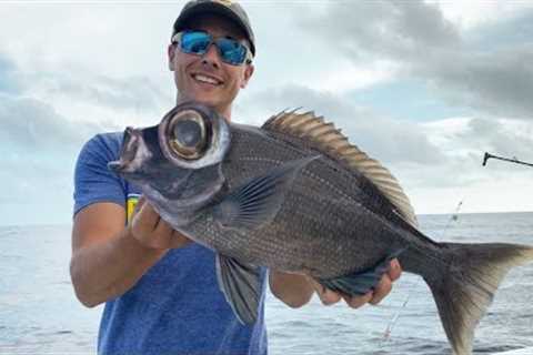 ULTRA RARE BUG EYE FISH!! (Catch and COOK)