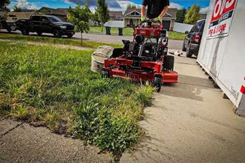 There's NO WAY They're Moving Out With LAWN Looking Like THIS