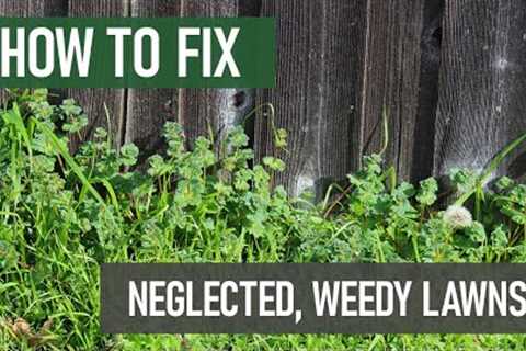 How to Fix Neglected, Weed-Ridden Lawns [DIY Lawn Care]