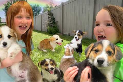 DOGGY DAY CARE SPA!!  Adley Niko &amp; Navey take care of baby puppies! pet makeover and morning..