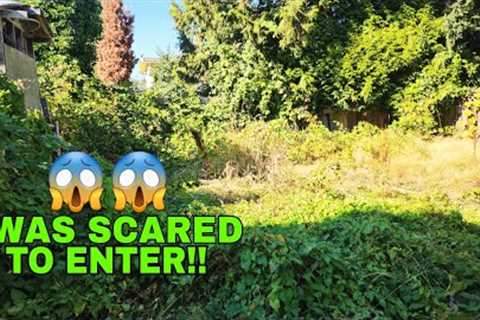 SHOCKING 😱 yard makeover FREE!! #overgrownlawn #lawn #lawncare #grasscutting #mowing #lawnmowing