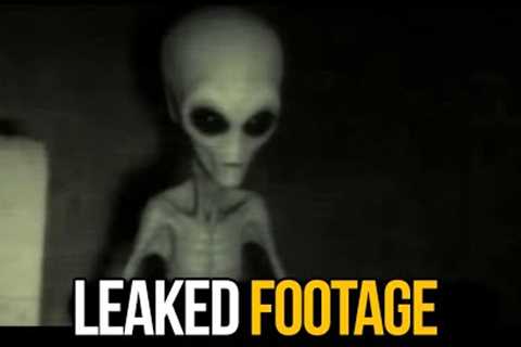 Trail Cam Footage That The Gov't Wants Taken Down