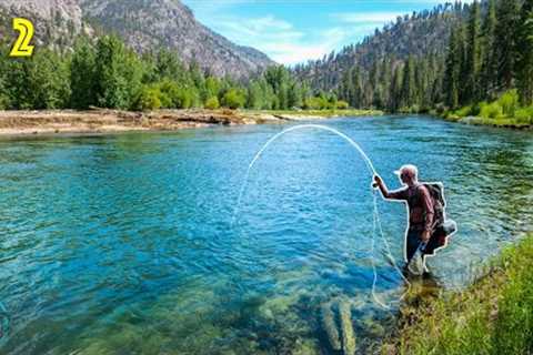 Fly Fishing, Hiking, and Camping in California! || California Gold Pt 2 (Kern River Rainbow)