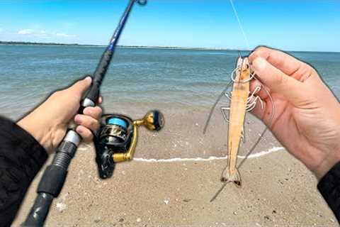 It took me YEARS to Catch this FISH! (Catch and Cook)
