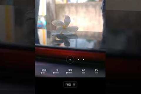Creative Photography Tips and Trick pro Mode🔥 Photography Hacks#shorts