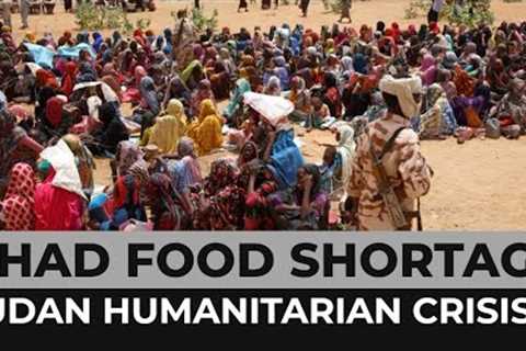 Chad food shortage: UN warns refugees are at risk of hunger