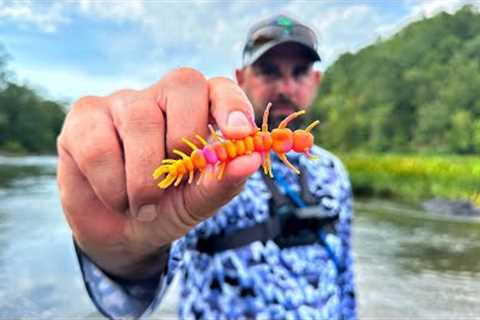 Did This Lure Really Work Here?