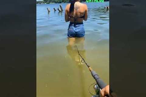 The end 😂😂😂 #viral #shorts #funny #fails #laughcatalog