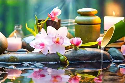 Relaxing Music 🍀 Spa Music, Massage, Yoga, Sleep Music, Water Music, Stress Relief, Meditation