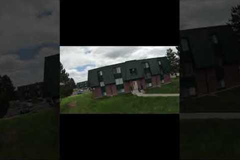 DJI FPV Test Flight #dji  #drone #fpv