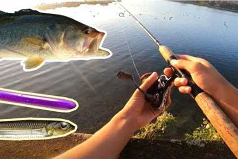 Some dropshot Action (Lake Miramar Bass Fishing)
