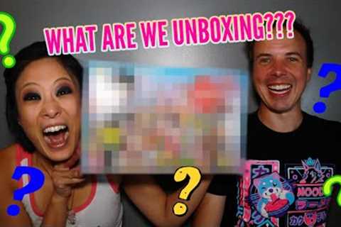 NEW UNBOXING! | a mystery | HINT: sometimes a Japanese unboxing