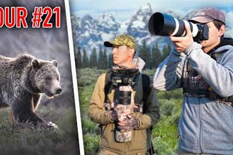 24 Hours to Photograph Wildlife in Grand Teton