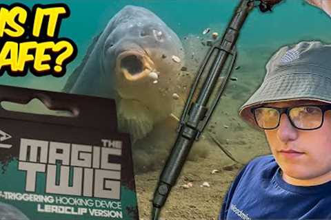 The Magic Twig By OMC - Honest Review