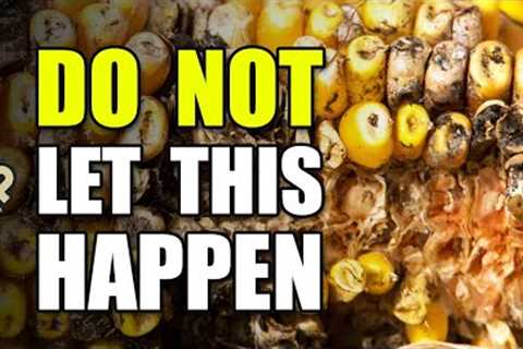 5 Enemies of Long-Term Food Storage Most Overlook