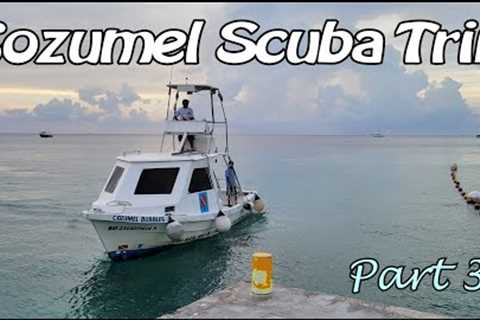 Cozumel Scuba Trip - Part 3 | Last dives and Final Thoughts