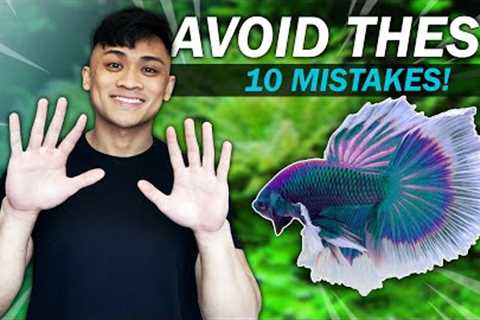 Avoid These 10 Mistakes That HARM Your Betta Fish!