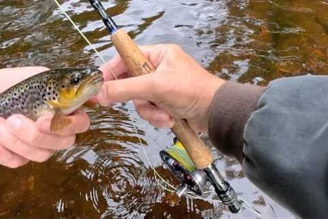 Fly Fishing for Brown Trout with Davie McPhail