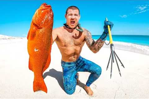 Catch And Cook VS 2 Ocean Hunters