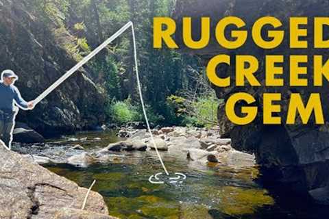 A Creek That Dreams Are Made Of! (Tenkara Fly Fishing)