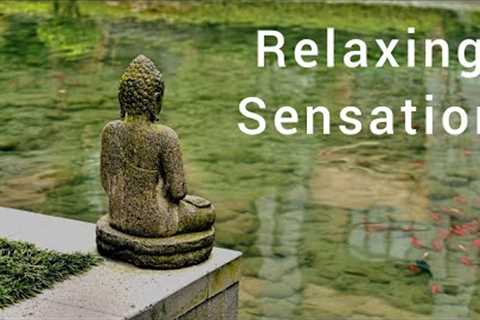 Relaxing Sensation | sleep Music | SLEEP INSTANTLY |Reduce Stress