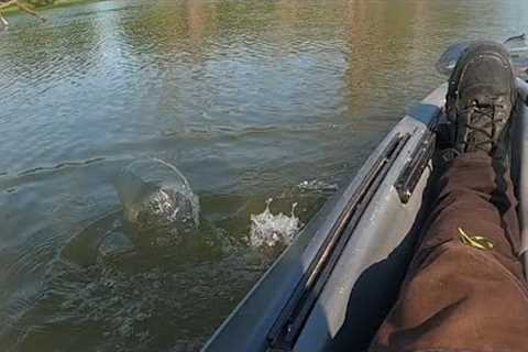 searching for big bass (lake fishing)