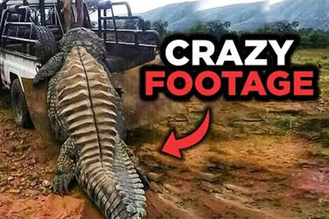 Compilation Of Extremely Disturbing Trail Cam Footage That No One Was Supposed To See