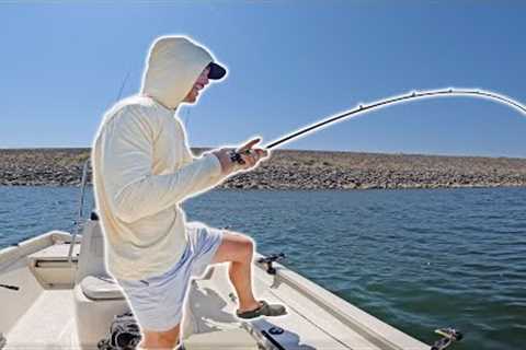 Drift Fishing with Cut Bait for Deep Summer Catfish