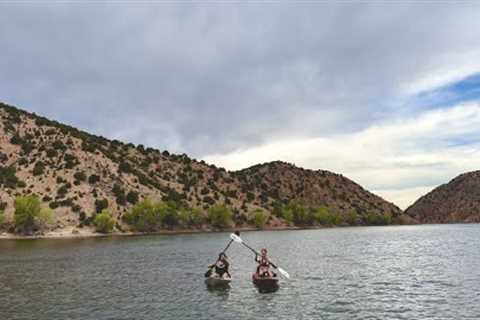 I Caught a Brown Trout with my BARE HANDS | Catch and Cook | New Mexico