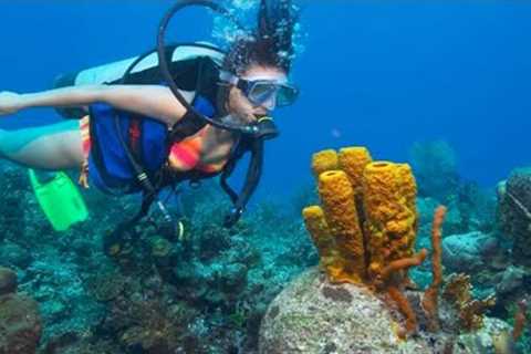 DIVING IN THE CARIBBEAN SEA!! - Cozumel Mexico (SCUBA TOUR)