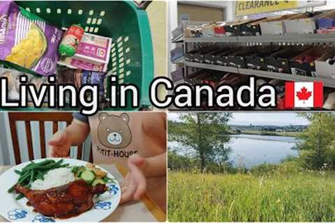 Daily Life Living in Canada| Grocery Shopping | Roasted chicken | Shrimp salad