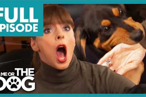 Bite Attack during Training | Full Episode