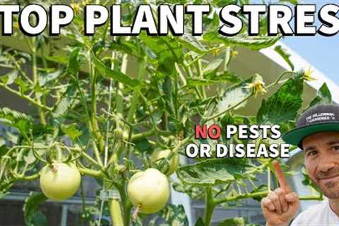 How To Boost Plants NATURAL DEFENSES To Outsmart Pests And Disease