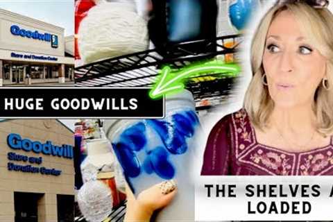 He Shared a  Secret.... Come Goodwill Thrifting with us!