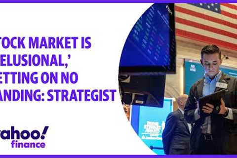 Stock market is 'delusional,' betting on no landing: Strategist