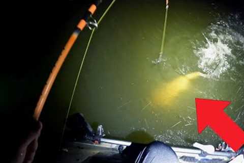 Flatheads In Shallow Water! BIG FISH | Kayak Catfishing High Rock Lake