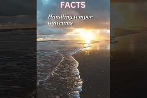 Mastering the Art of Handling Temper Tantrums: Expert Tips and Strategies for Parents