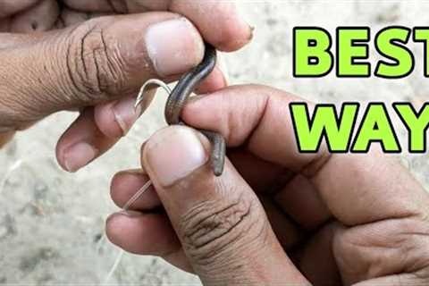 best way to hook a worm for fishing | worm bait hooking trick
