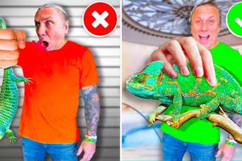 Exposing All Reptile Keepers In 24 hours!