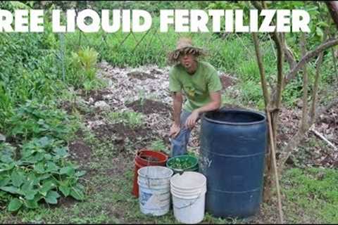 Creating a New Batch of Fermented Plant Juice AKA Dave's Fetid Swamp Water (TM)