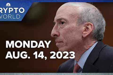 SEC delays decision on ARK 21Shares spot bitcoin ETF: CNBC Crypto World