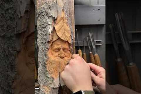 Carving a Greenman in Cottonwood Bark #aleclacasse #woodworking #wood #woodcarving #carving #art