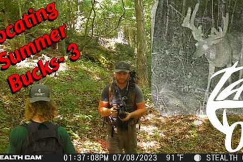 Locating Summer Bucks Ep. 3 | Micro Adjusting Trail Cameras