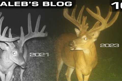 MY DREAM DEER, Trail Camera Strategy For Lucky | Kaleb's Blog