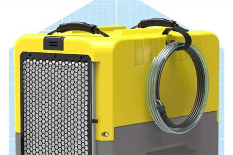 The 6 Best Crawlspace Dehumidifiers for Eliminating Damaging Moisture