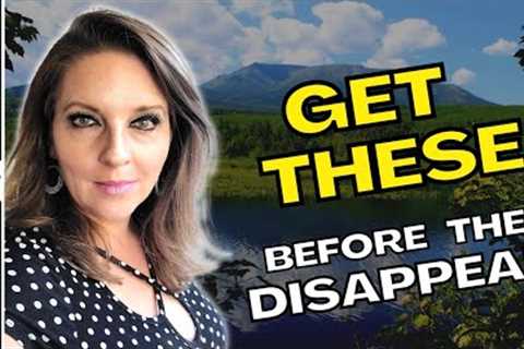 What are preppers stockpiling BEFORE THE END OF THIS WEEK? Prepping for Food Shortages SHTF 2023