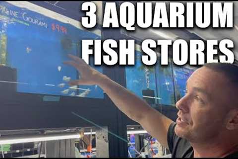 Shopping at 3 Aquarium Fish Stores WITH The king of DIY - ADayWithT