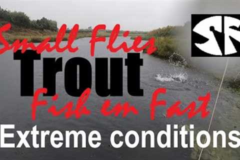 Still Water Fly Fishing Trout - Methods for Early Autumn.